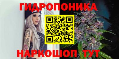 гидра Партизанск