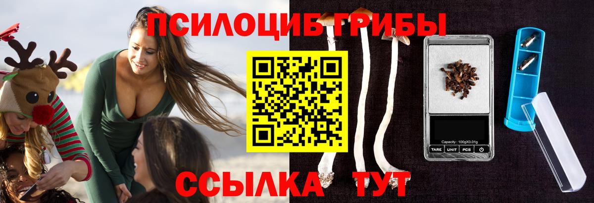 Галлюциногенные грибы Psilocybine cubensis  Вход с VPN  Нягань 
