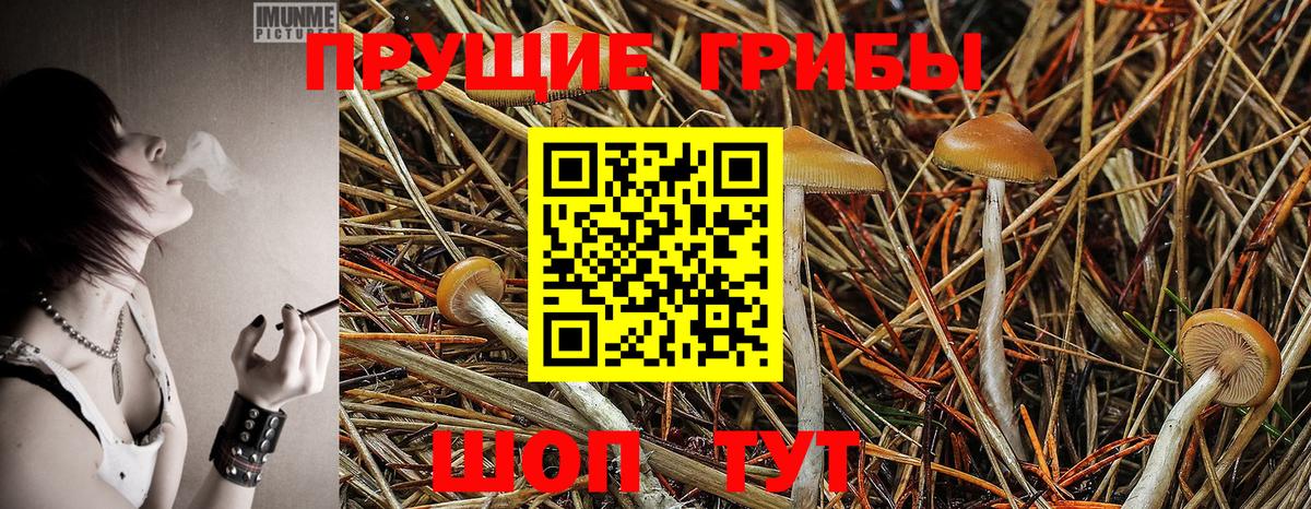 Галлюциногенные грибы MAGIC MUSHROOMS Нягань
